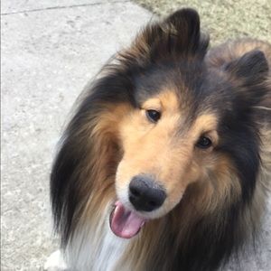 Meet your Posher, Dominique